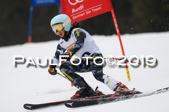 DSV Deutscher Schülercup U12 Finale 2019, Race Cross 02.03.2019