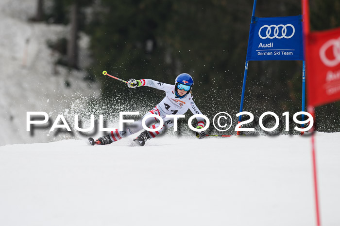 DSV Deutscher Schülercup U12 Finale 2019, Race Cross 02.03.2019