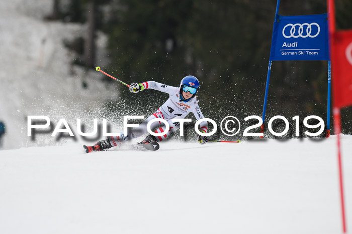 DSV Deutscher Schülercup U12 Finale 2019, Race Cross 02.03.2019