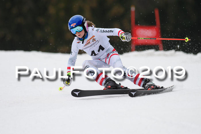 DSV Deutscher Schülercup U12 Finale 2019, Race Cross 02.03.2019