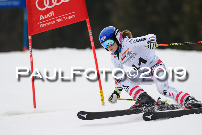 DSV Deutscher Schülercup U12 Finale 2019, Race Cross 02.03.2019