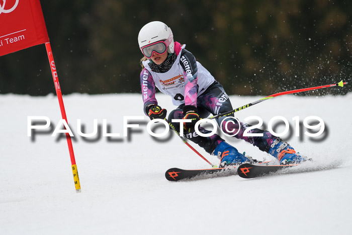 DSV Deutscher Schülercup U12 Finale 2019, Race Cross 02.03.2019