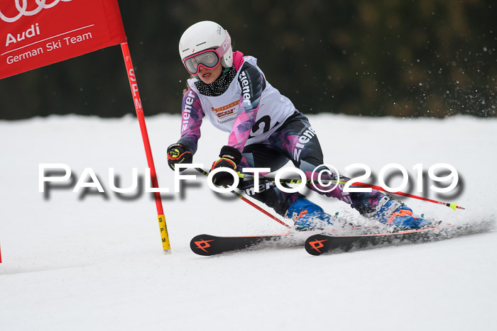 DSV Deutscher Schülercup U12 Finale 2019, Race Cross 02.03.2019