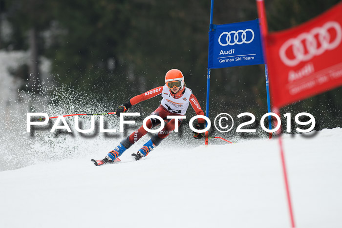 DSV Deutscher Schülercup U12 Finale 2019, Race Cross 02.03.2019