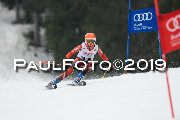DSV Deutscher Schülercup U12 Finale 2019, Race Cross 02.03.2019