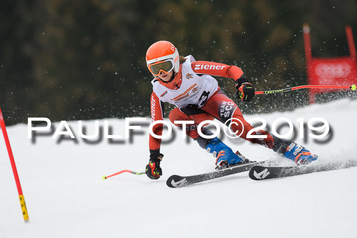 DSV Deutscher Schülercup U12 Finale 2019, Race Cross 02.03.2019