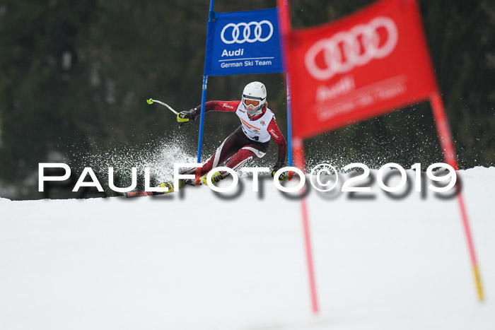DSV Deutscher Schülercup U12 Finale 2019, Race Cross 02.03.2019