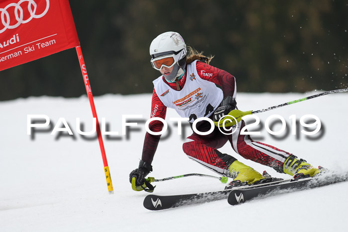 DSV Deutscher Schülercup U12 Finale 2019, Race Cross 02.03.2019