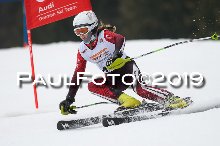 DSV Deutscher Schülercup U12 Finale 2019, Race Cross 02.03.2019
