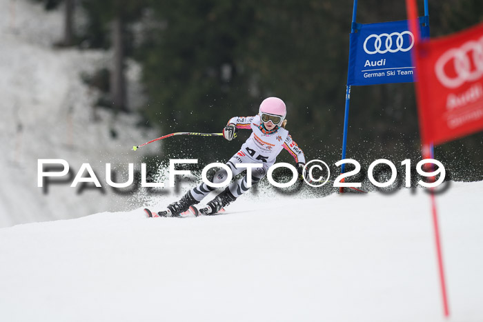 DSV Deutscher Schülercup U12 Finale 2019, Race Cross 02.03.2019