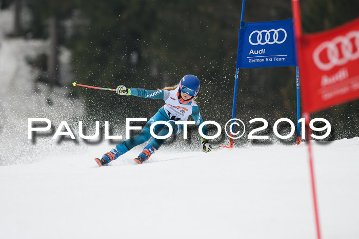DSV Deutscher Schülercup U12 Finale 2019, Race Cross 02.03.2019