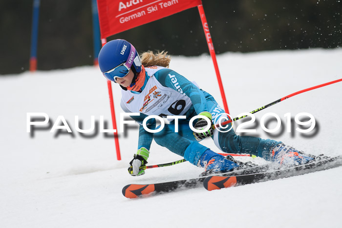DSV Deutscher Schülercup U12 Finale 2019, Race Cross 02.03.2019
