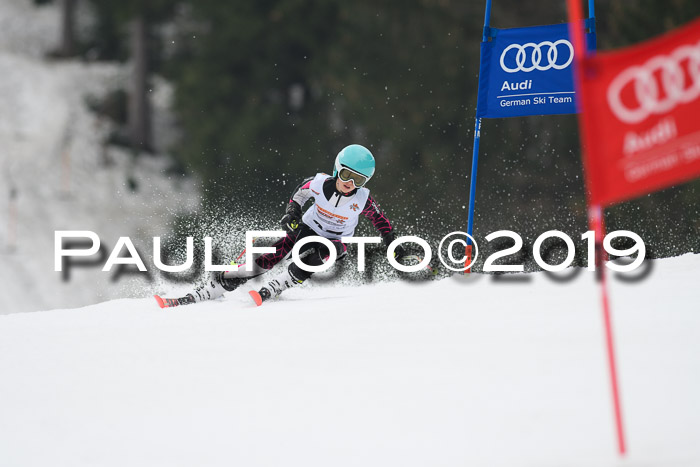 DSV Deutscher Schülercup U12 Finale 2019, Race Cross 02.03.2019