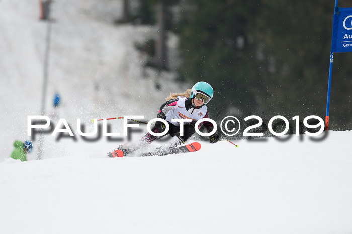 DSV Deutscher Schülercup U12 Finale 2019, Race Cross 02.03.2019