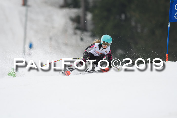 DSV Deutscher Schülercup U12 Finale 2019, Race Cross 02.03.2019
