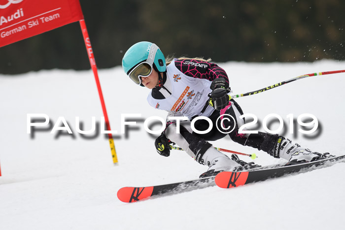 DSV Deutscher Schülercup U12 Finale 2019, Race Cross 02.03.2019