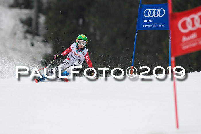 DSV Deutscher Schülercup U12 Finale 2019, Race Cross 02.03.2019