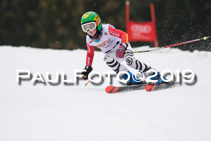 DSV Deutscher Schülercup U12 Finale 2019, Race Cross 02.03.2019