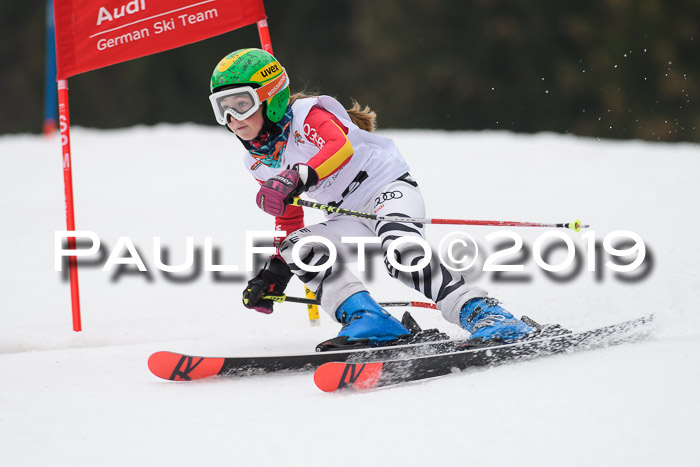 DSV Deutscher Schülercup U12 Finale 2019, Race Cross 02.03.2019