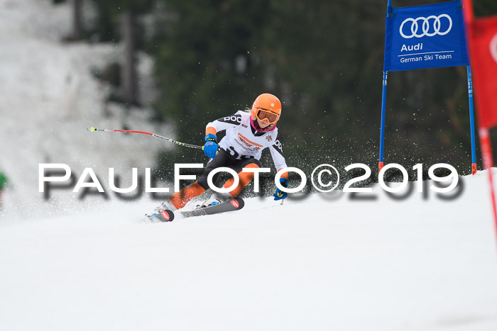 DSV Deutscher Schülercup U12 Finale 2019, Race Cross 02.03.2019