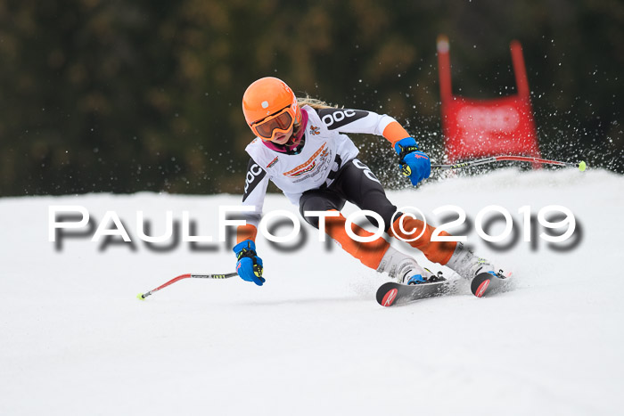 DSV Deutscher Schülercup U12 Finale 2019, Race Cross 02.03.2019