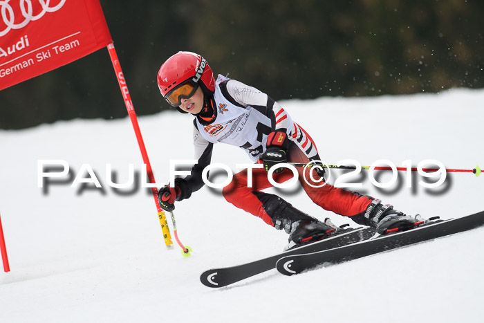 DSV Deutscher Schülercup U12 Finale 2019, Race Cross 02.03.2019
