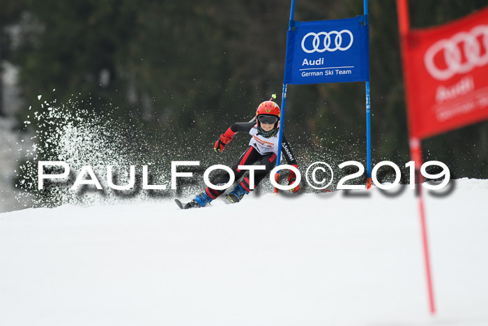 DSV Deutscher Schülercup U12 Finale 2019, Race Cross 02.03.2019