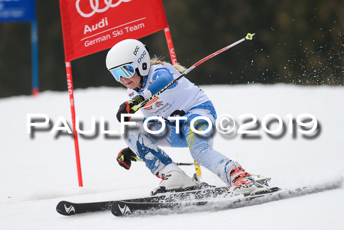 DSV Deutscher Schülercup U12 Finale 2019, Race Cross 02.03.2019