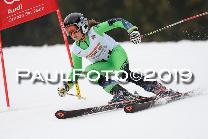 DSV Deutscher Schülercup U12 Finale 2019, Race Cross 02.03.2019