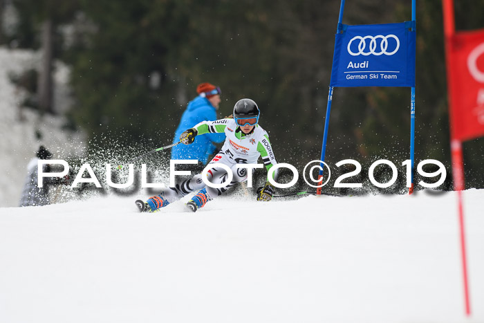 DSV Deutscher Schülercup U12 Finale 2019, Race Cross 02.03.2019