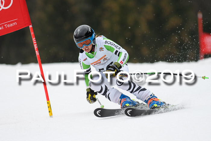 DSV Deutscher Schülercup U12 Finale 2019, Race Cross 02.03.2019