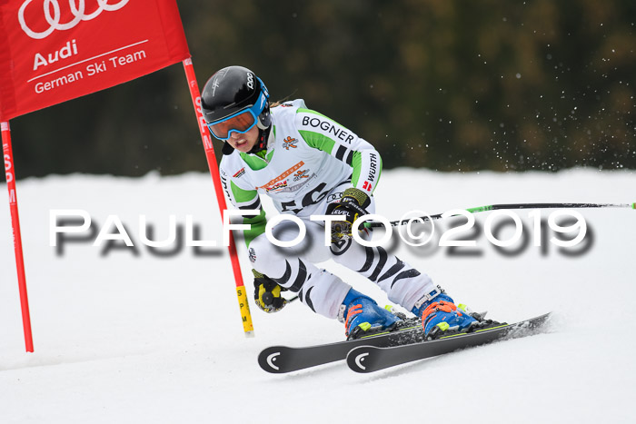 DSV Deutscher Schülercup U12 Finale 2019, Race Cross 02.03.2019