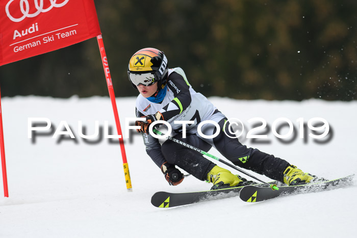 DSV Deutscher Schülercup U12 Finale 2019, Race Cross 02.03.2019