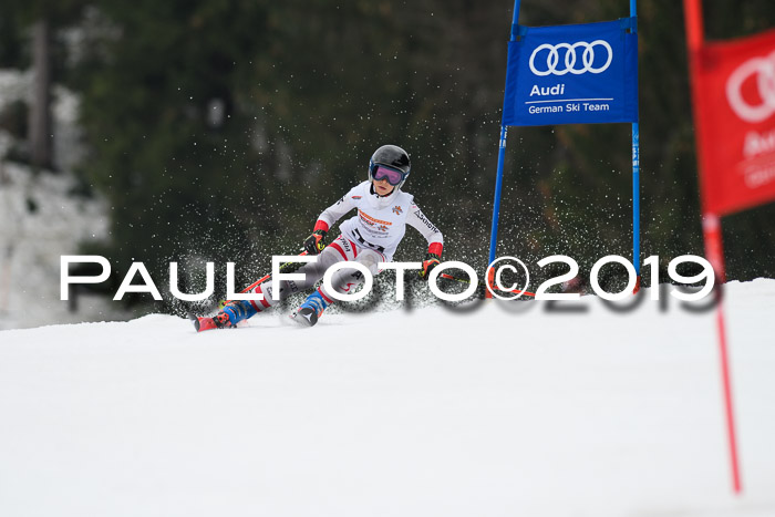DSV Deutscher Schülercup U12 Finale 2019, Race Cross 02.03.2019