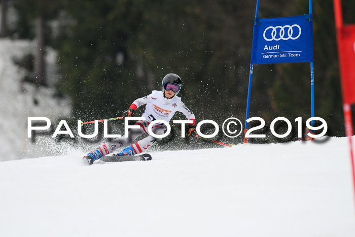 DSV Deutscher Schülercup U12 Finale 2019, Race Cross 02.03.2019