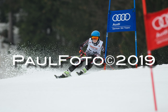 DSV Deutscher Schülercup U12 Finale 2019, Race Cross 02.03.2019