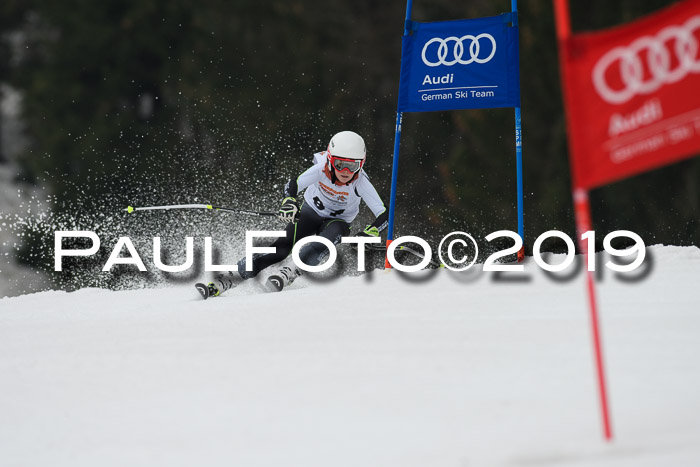 DSV Deutscher Schülercup U12 Finale 2019, Race Cross 02.03.2019