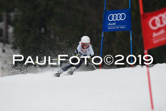 DSV Deutscher Schülercup U12 Finale 2019, Race Cross 02.03.2019