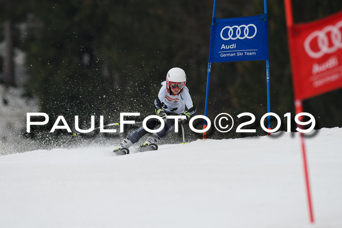 DSV Deutscher Schülercup U12 Finale 2019, Race Cross 02.03.2019