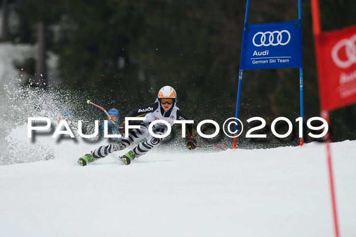 DSV Deutscher Schülercup U12 Finale 2019, Race Cross 02.03.2019