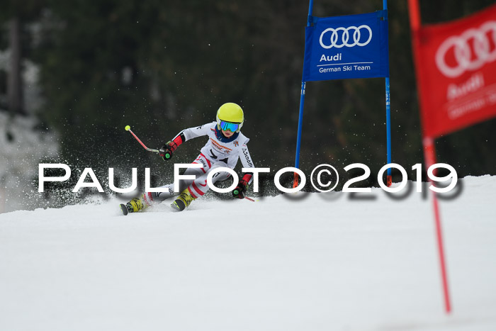 DSV Deutscher Schülercup U12 Finale 2019, Race Cross 02.03.2019