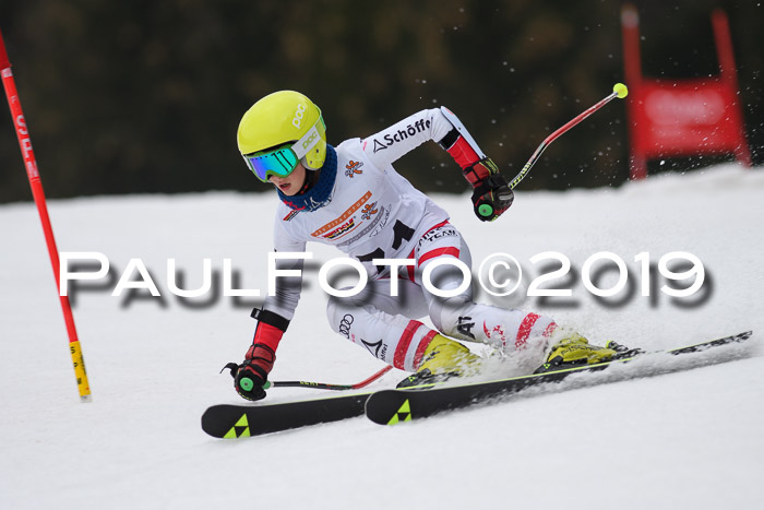 DSV Deutscher Schülercup U12 Finale 2019, Race Cross 02.03.2019