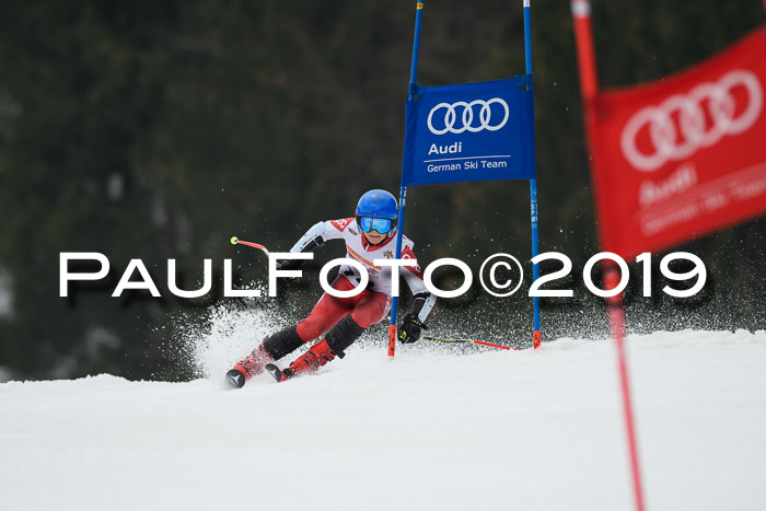 DSV Deutscher Schülercup U12 Finale 2019, Race Cross 02.03.2019
