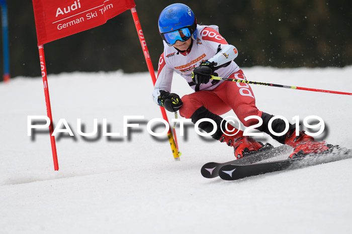 DSV Deutscher Schülercup U12 Finale 2019, Race Cross 02.03.2019