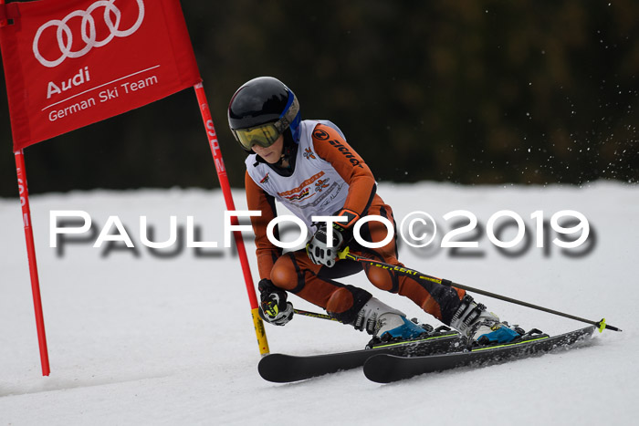 DSV Deutscher Schülercup U12 Finale 2019, Race Cross 02.03.2019