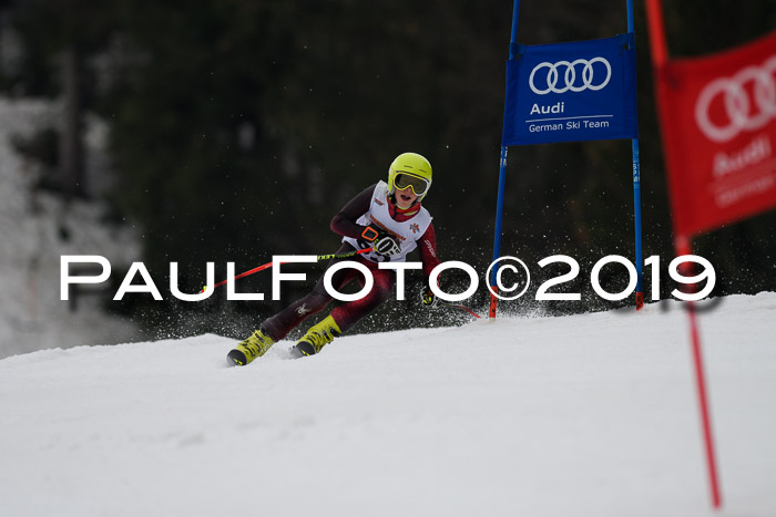 DSV Deutscher Schülercup U12 Finale 2019, Race Cross 02.03.2019