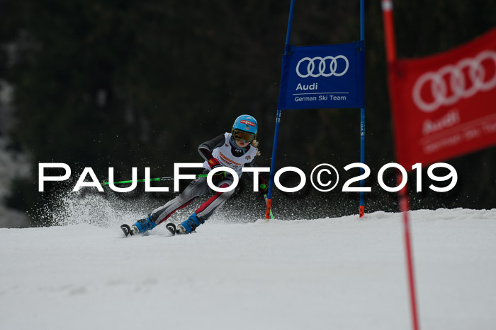 DSV Deutscher Schülercup U12 Finale 2019, Race Cross 02.03.2019