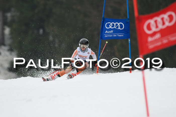 DSV Deutscher Schülercup U12 Finale 2019, Race Cross 02.03.2019