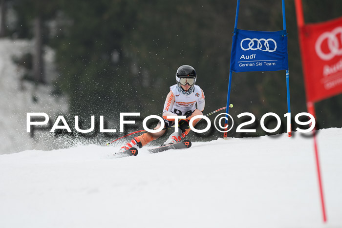DSV Deutscher Schülercup U12 Finale 2019, Race Cross 02.03.2019
