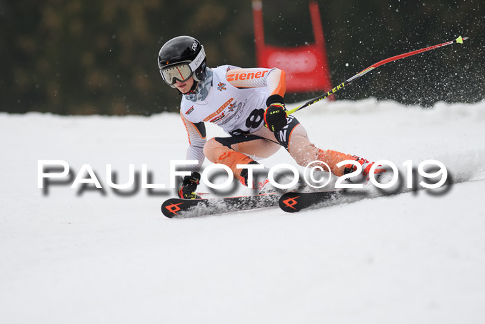 DSV Deutscher Schülercup U12 Finale 2019, Race Cross 02.03.2019